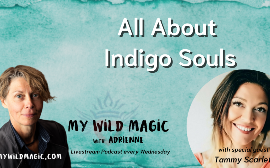 Activate YOUR Indigo Gifts with Tammy Scarlett